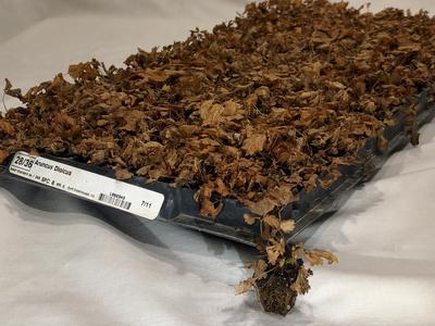 Dormant 275 Plug Tray Availability (Held cold, Dec.-April)