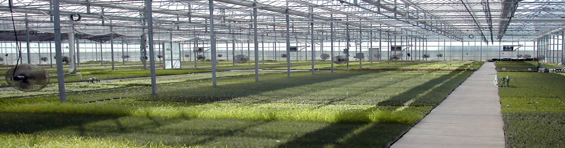 Swift Greenhouses