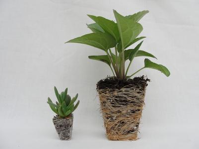 275 Plug (left) vs. 50 Plug (right) 275 Plug (left) vs. 50 Plug (right)