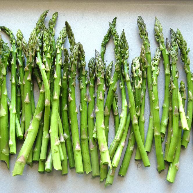 Asparagus officinalis Mary Washington from Swift Greenhouses